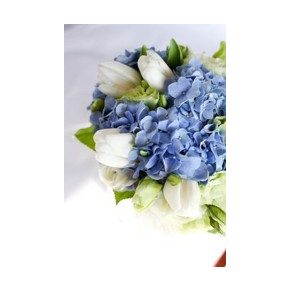 Kék hortenzia fehér tulipánnal