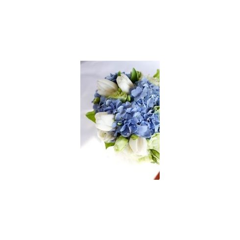 Kék hortenzia fehér tulipánnal
